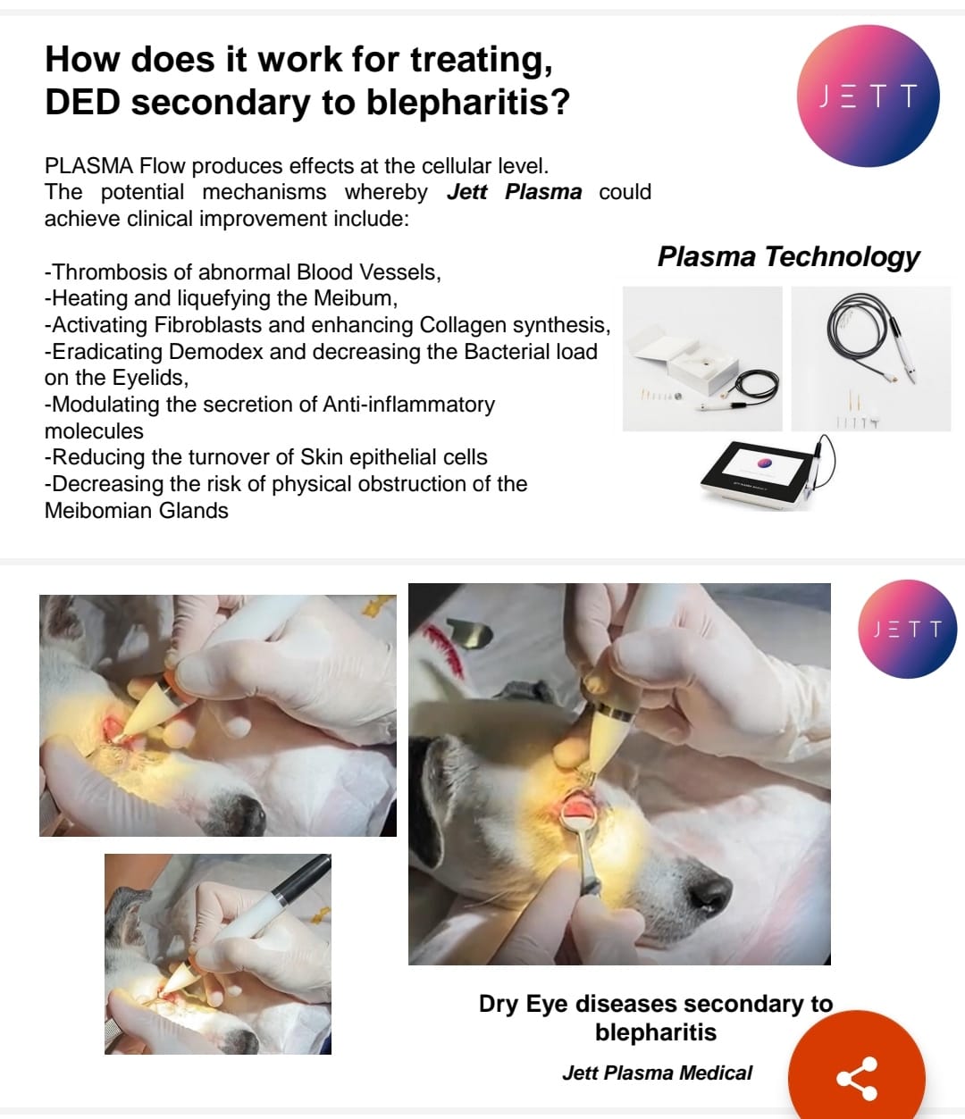 Jett Plasma Veterinary -New technology effectively corrects many ocular diseases, abnormalities