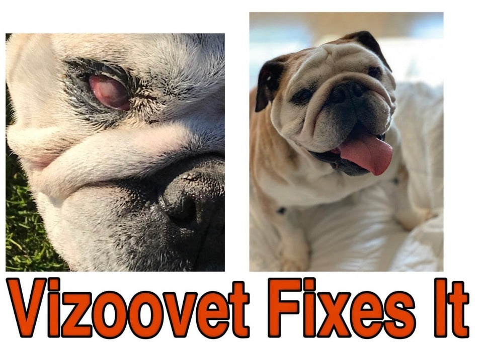 Vizoovet®Plus Eye  Drops with Hyaluron (HA) 15ml Standard bottles