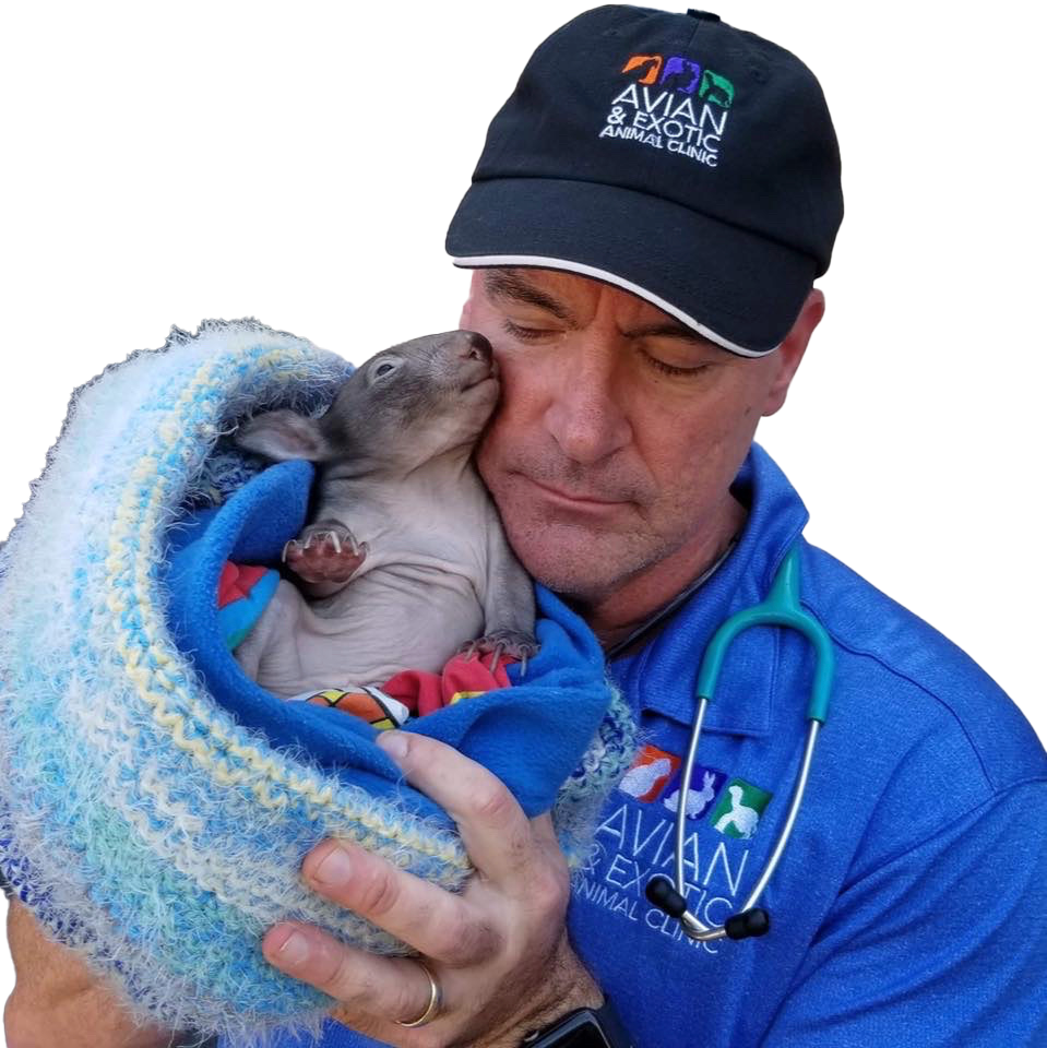 VIZOOVET® PERFECT DROP