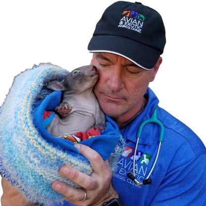 VIZOOVET® PERFECT DROP