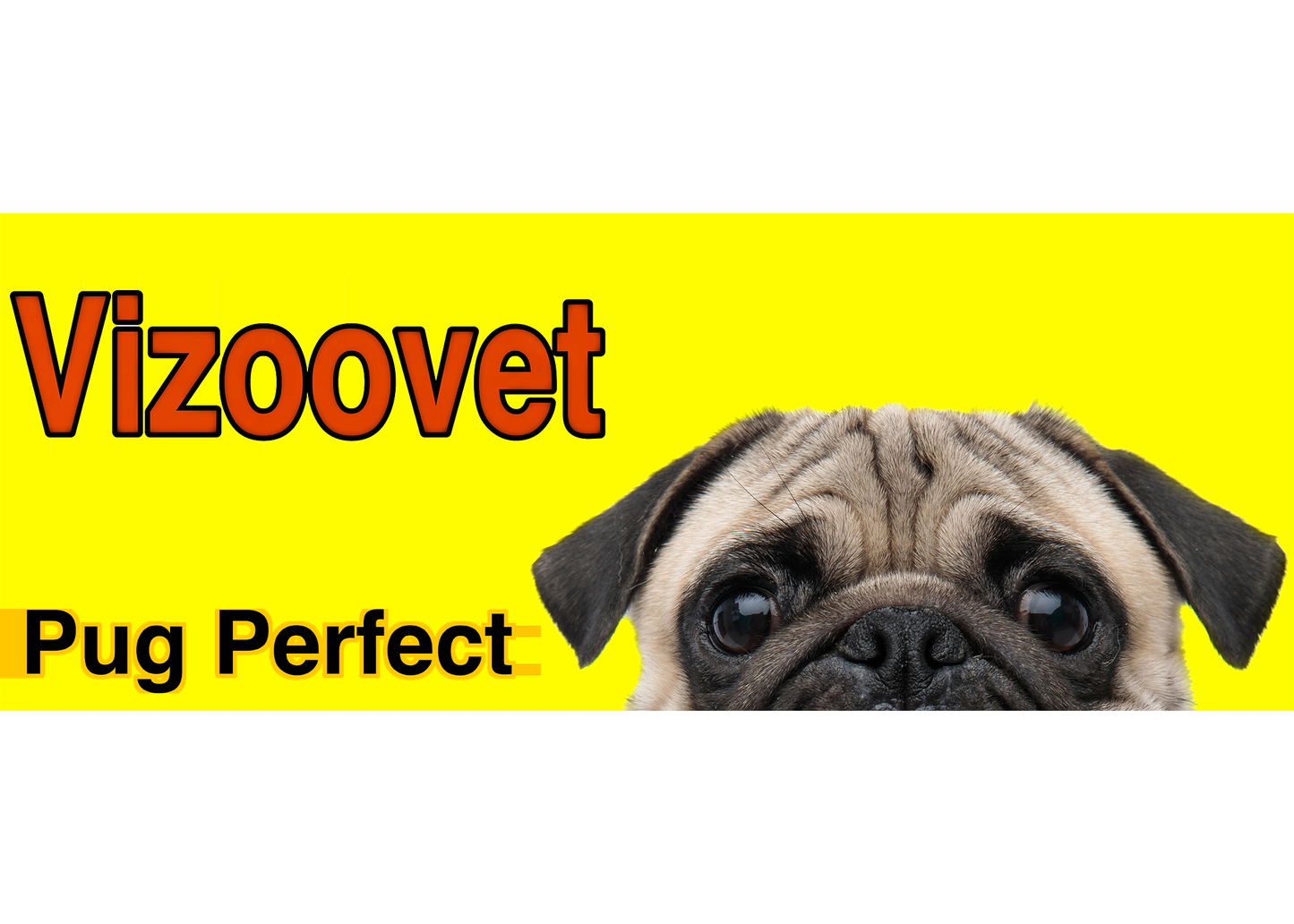 Vizoovet Plus Nanoparticle Mist 10 ml